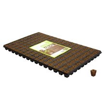 Eazy Plug SeedIng Tray 150 pieces