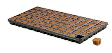 Eazy Plug SeedIng Tray 66 pieces