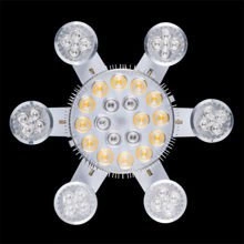 Lighting set 50in 7 bulbs for plant splinters | universal spectrum