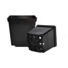 Production square pot 2.5L 15x15x15cm