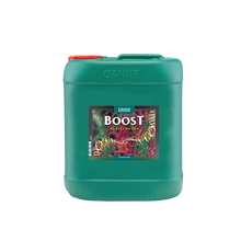 Fertilizer Canna Boost 10L flower stimulator