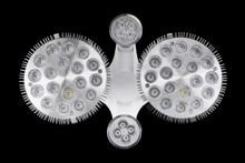 Lighting set 4 bulbs for splinter plants | Growth accelerator