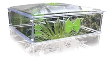Garland Small Vitopod Propagator Height Extension Kit 60x60x15cm