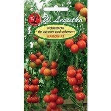 Tomato under cover Baron - Lycopersicon esculentum - 0.10g