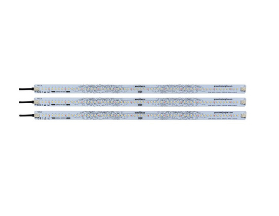 Grow The Jungle The Brookes 3x35W Parallel *105W*-- LED grow lamp