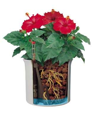 LENI hydroponics set 11/9 cover pot corona + hydro pot + h9 water indicator
