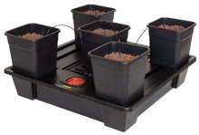 WILMA XXL hydroponic system 5 x 25L - 115x115xh20cm