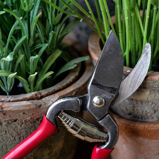 Esschert Design – Garden pruner with coated handle