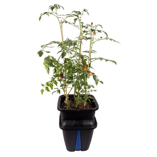 PLANT!T GEMINI hydroponic system for 1 plant