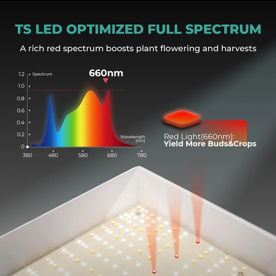 Mars Hydro TSW 2000 300W Led Grow lampa do uprawy roślin