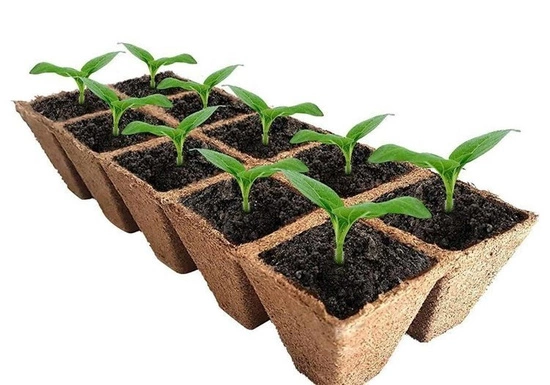 Peat pots Jiffy Pot tray for seedlings - 6x6x6cm | 200pcs full carton