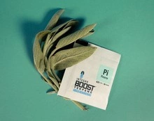 regulator wilgoci Integra Boost Terpene Essentials 4G 62% Pinene