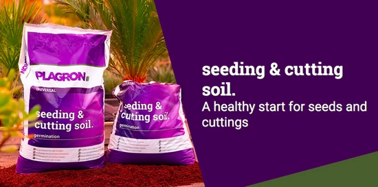 Plagron Seeding & Cutting 25L - ziemia do sadzonek