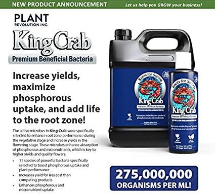 Plant Success King Crab 100ml – naturalny stymulator korzeni i gleby, zwiększa fosfor 