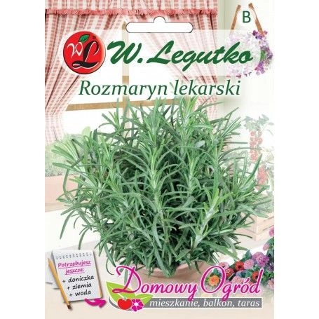 Rosemary - Rosmarinus officinalis -