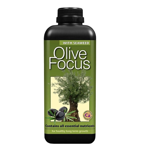 Growth Technology Olive Focus Fertilizer Conditioner for Olives 1L