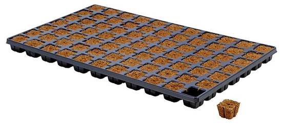 Eazy Plug SeedIng Tray 77 pieces