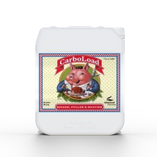 Advanced Nutrients CARBOLOAD 5L | węglowodany