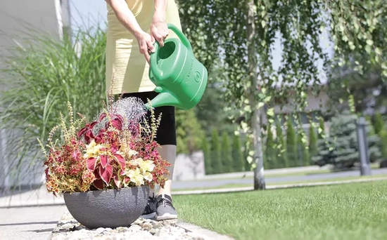 Watering can 10L Spring green color