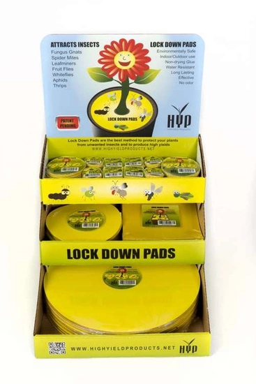 HYP Lock down Pads 15cm - insect sticky pad round 8 pcs (6'')