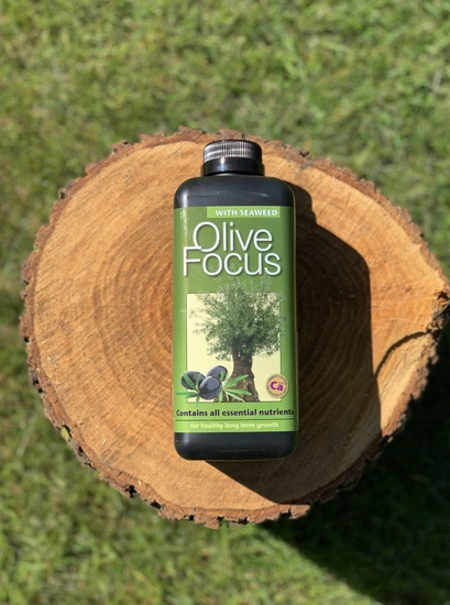 Growth Technology Olive Focus nawóz odżywka dla oliwek 300ml