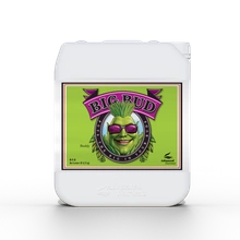 Advanced Nutrients BIG BUD 5L | flowering stimulator