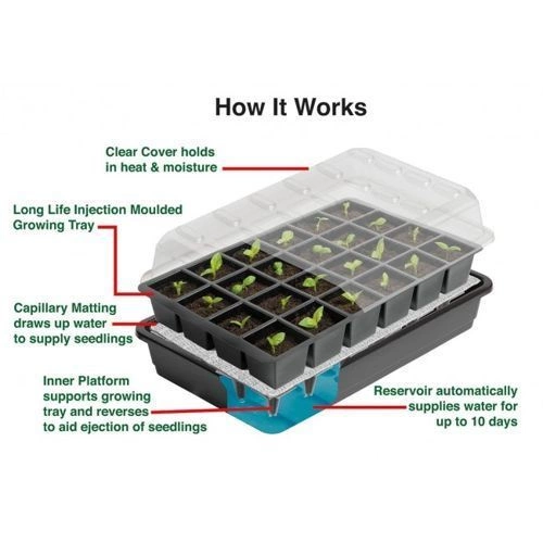 Self-watering garland propagator 37.5 x 23 x h16 cm