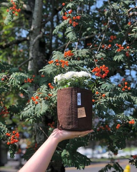 Growbag Root Pouch fabric pot 25,5x21,5cm 12L brown 750 units