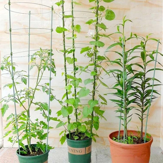 Herbgarden Flower Support Bracket h 120cm / ϕ 28 cm