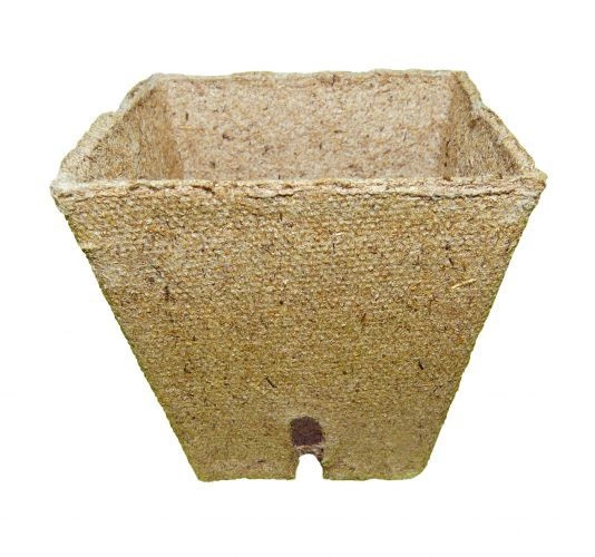 Peat pots Jiffy Pot for seedlings - 10 pcs, 8x8 cm