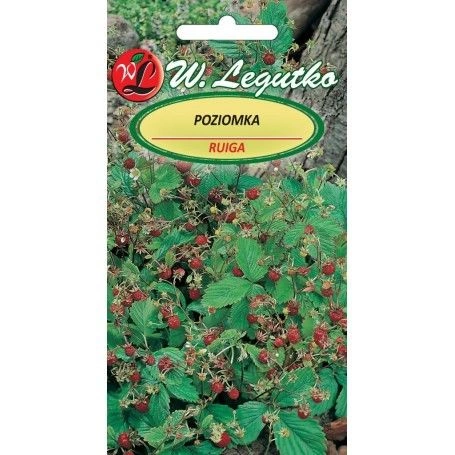 Wild strawberry - Fragaria vesca seeds 0.20g