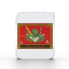 Advanced Nutrients Bud Ignitor 5L | przyspiesza przejście roślin do fazy kwitnienia