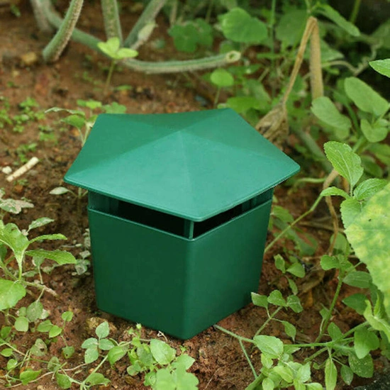 Snail Box | Snail Trap Plastic box 10x11cm