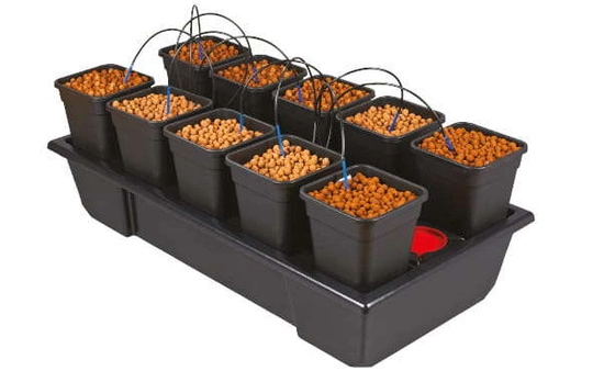 WILMA SMALL WIDE hydroponic system 10 x 6L - 120x60xh20cm