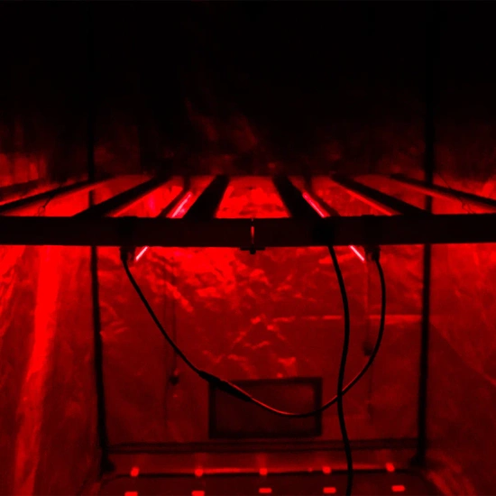 Agrolite NIR Twins 2×22W - listwy LED uzupełniające światło podczerwone / far-red