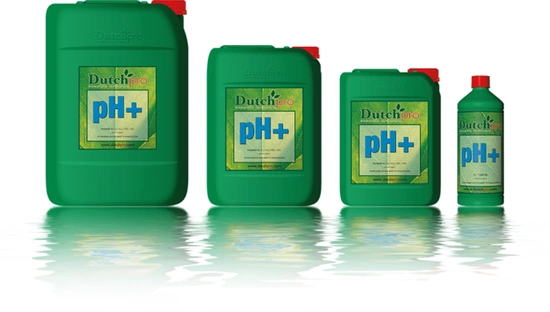 DutchPro ph plus 5L | To raise ph