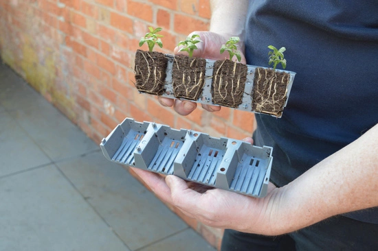 Samonawadniający propagator Garland z 24 wkładami do ukorzeniania 38x23xh14cm G241