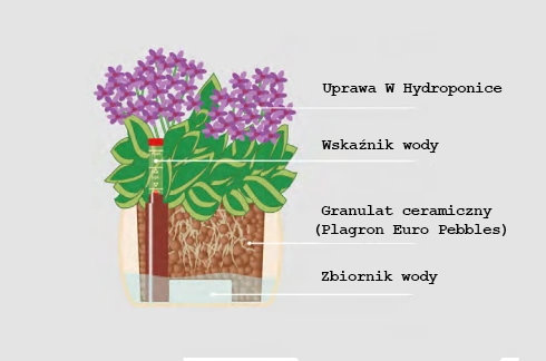 Zestaw do hydroponiki LENI doniczka 9/7 + wskaźnik h7