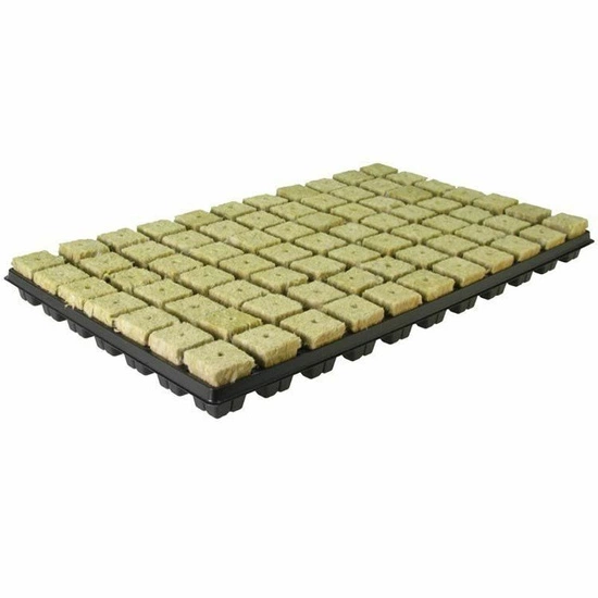 Seeding tray mineral wool 77 pcs 35x35x40mm Grodan