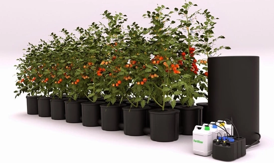 Computer / controller dosing fertilizer for hydroponic cultivation NidoPro