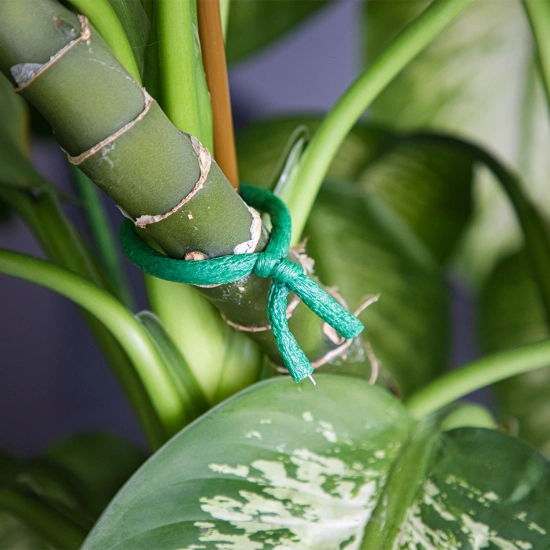 Biogród Flexible garden wire with a metal core coated in soft foam 10m x ⌀10mm 