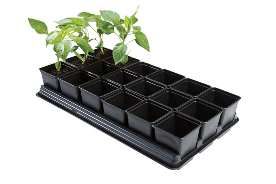 Garland Professional Vegetable Tray (18 x 9cm Square Pots) 54.5 x 31 x 10 cm