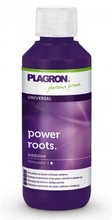 Plagron Power Roots 100ml | Na ukorzenianie