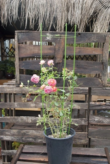 Herbgarden Flower Support Bracket h 120cm / ϕ 28 cm