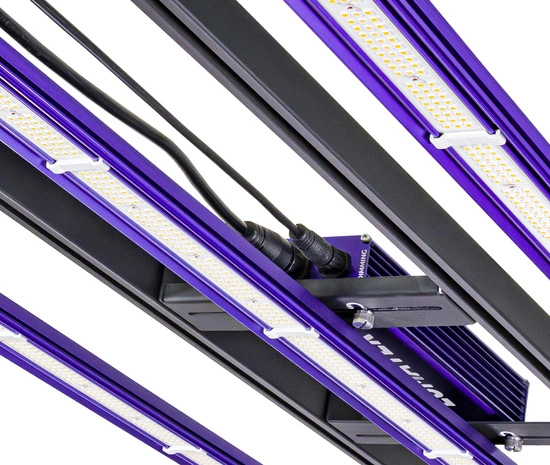 Lumatek Zeus 300W PRO 3.1 LED - FULL SPECTRUM | pokrycie 120x60 