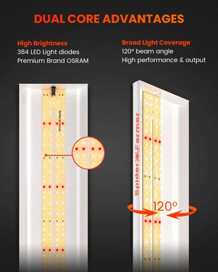 Spider farmer SF600 74W Osram - for clones & seedlings