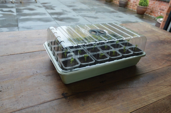Samonawadniający propagator Garland z 24 wkładami do ukorzeniania 38x23xh14cm G241