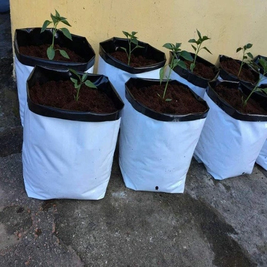 Herbgarden foil plastic pots 1gal / 3,75L 100pcs