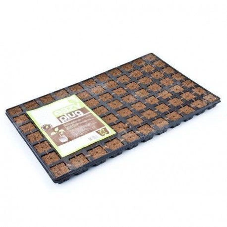 Eazy Plug SeedIng Tray 77 pieces