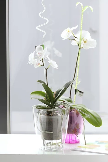 Prosperplast Coubi Orchid Pot 2,4L - transparent orchid pot fi 16cm